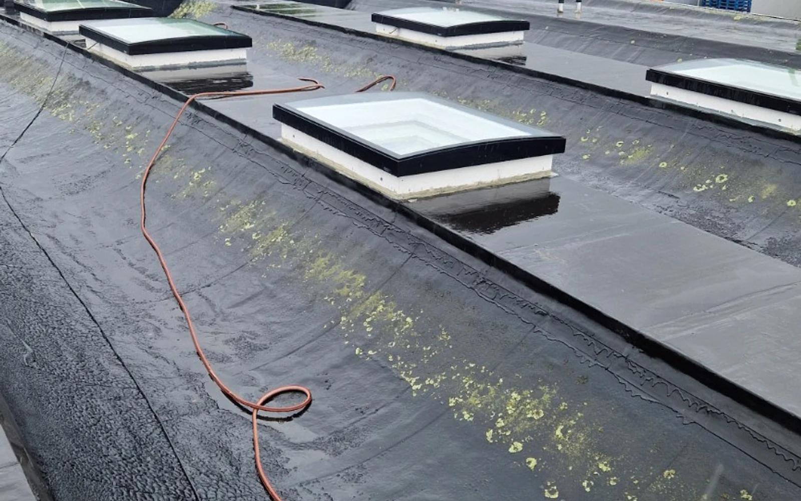 Verouderd donker bitumen bedrijfsdak in Vlaardingen vóór renovatie